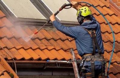 Démoussage et hydrofuge de toiture à Viglain